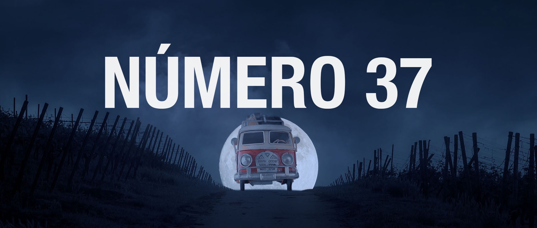 number%2037%20a%20copy%202